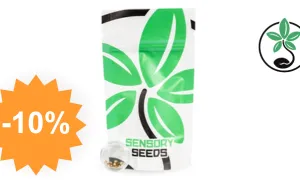 AK 47 — cannabis seed SensorySeeds with discount code