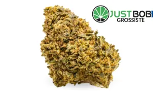 Amnesia CBD Boost — CBD grossiste JustBob avec code promo
