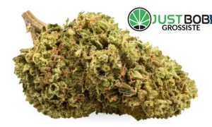 Bubblegum — CBD grossiste JustBob avec code promo