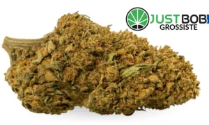 California Haze — CBD grossiste JustBob avec code promo