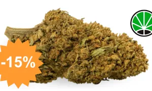 California Haze — CBD flower JustBob with discount code