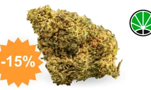 Master Kush — CBD flower JustBob with discount code