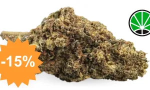 Royal GG#4 — boost CBD JustBob avec code promo