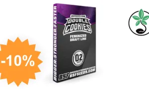 Double Cookies — cannabis seed SensorySeeds with discount code