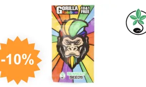 Gorilla Rainbows — cannabis seed SensorySeeds with discount code
