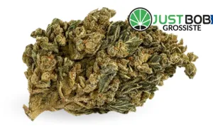 HQ CBD Boost — CBD grossiste JustBob avec code promo