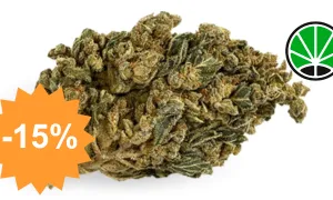 HQ CBD Boost — boost CBD JustBob avec code promo