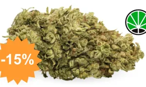 Zkittles CBG — CBD flower JustBob with discount code