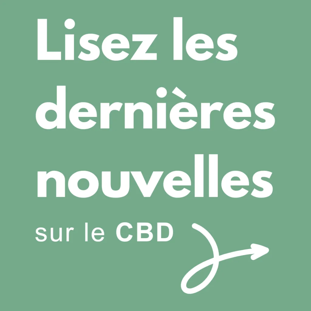 Blog PromoCBD: Guide, novità e consigli sul CBD in Italia