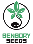 Logo officiel SensorySeeds — Partenaire vérifié PromoCBD